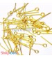 Eye Pins 20mm - Golden - Pack of 50